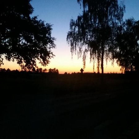 Entspannen & Wohlfuehlen In Der Lueneburger Heide Vierhofen 외부 사진